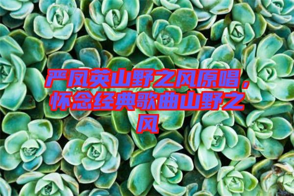 嚴鳳英山野之風原唱，懷念經(jīng)典歌曲山野之風