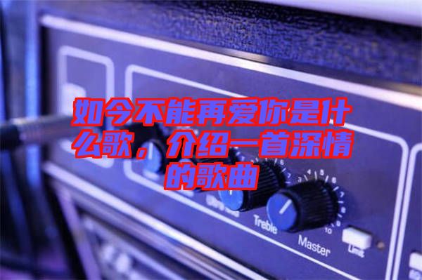 如今不能再愛你是什么歌，介紹一首深情的歌曲