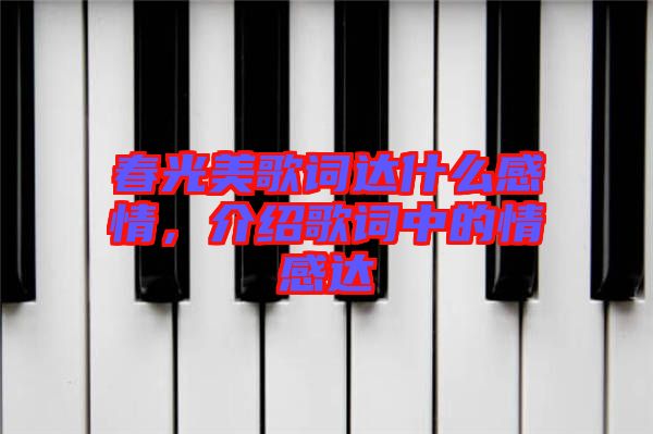 春光美歌詞達(dá)什么感情，介紹歌詞中的情感達(dá)