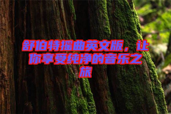 舒伯特?fù)u曲英文版，讓你享受純凈的音樂(lè)之旅