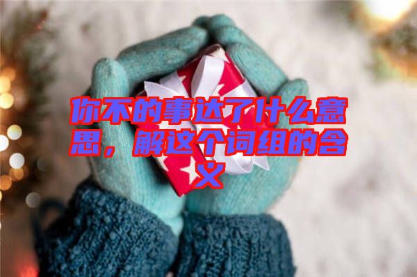 你不的事達了什么意思，解這個詞組的含義