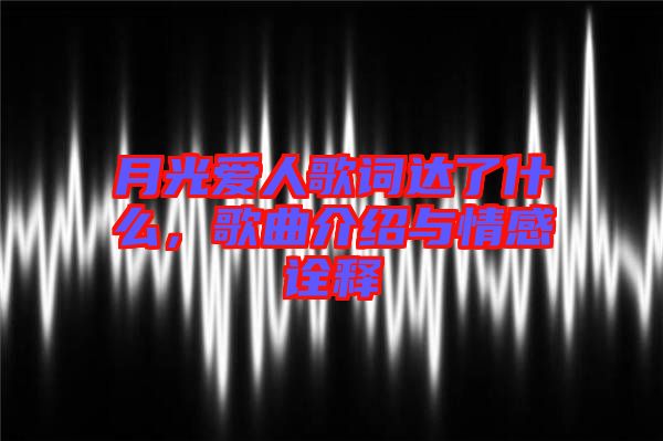 月光愛人歌詞達(dá)了什么，歌曲介紹與情感詮釋