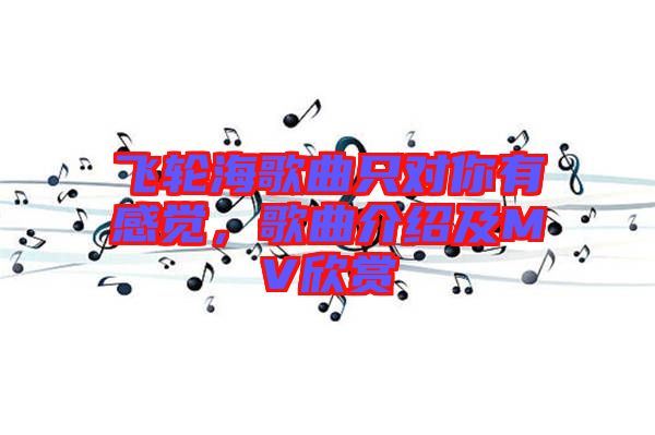 飛輪海歌曲只對你有感覺，歌曲介紹及MV欣賞