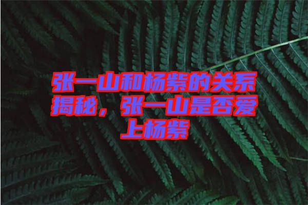 張一山和楊紫的關系揭秘，張一山是否愛上楊紫