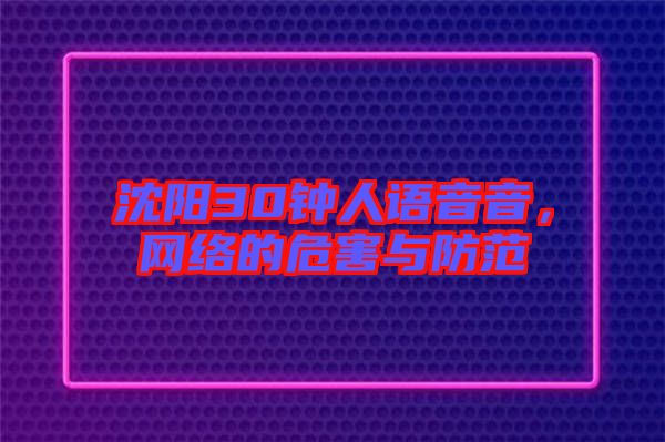 沈陽30鐘人語音音，網(wǎng)絡的危害與防范