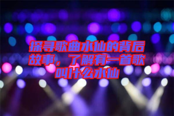 探尋歌曲水仙的背后故事，了解有一首歌叫什么水仙