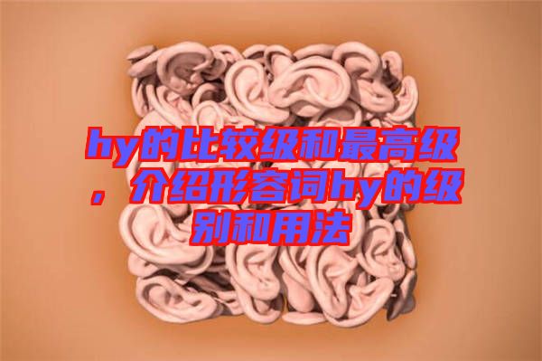 hy的比較級和最高級，介紹形容詞hy的級別和用法
