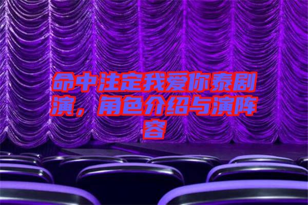 命中注定我愛(ài)你泰劇演，角色介紹與演陣容