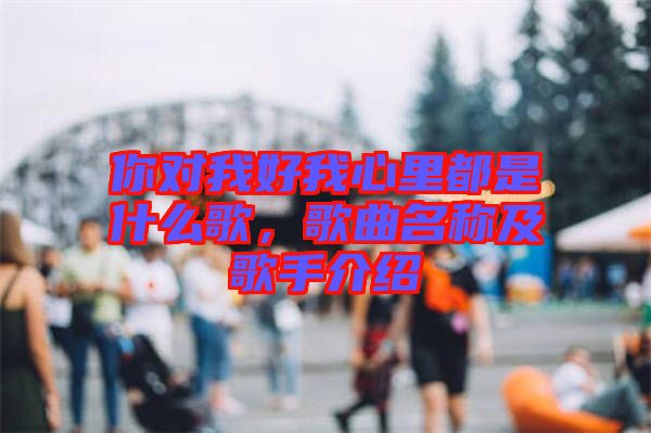 你對我好我心里都是什么歌，歌曲名稱及歌手介紹