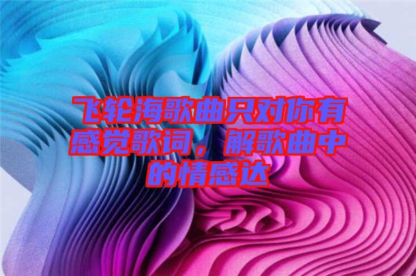 飛輪海歌曲只對你有感覺歌詞，解歌曲中的情感達(dá)