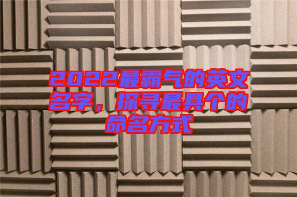 2022最霸氣的英文名字，探尋最具個(gè)的命名方式