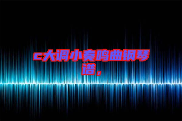 c大調(diào)小奏鳴曲鋼琴譜，