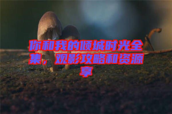 你和我的傾城時光全集，觀影攻略和資源享
