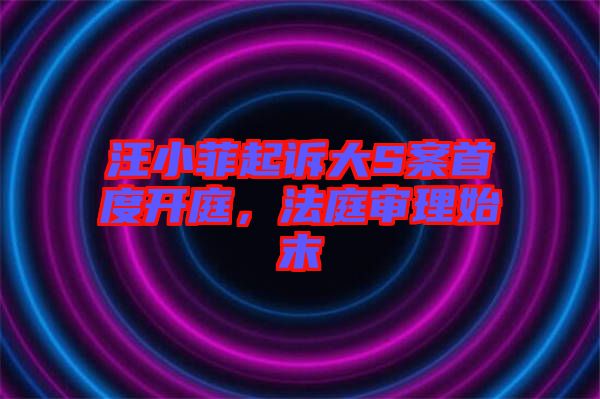 汪小菲起訴大S案首度開庭，法庭審理始末
