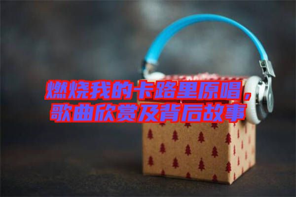 燃燒我的卡路里原唱，歌曲欣賞及背后故事
