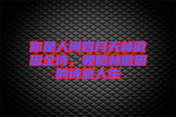 你是人間四月天林徽因全詩，領(lǐng)略林徽因的詩意人生