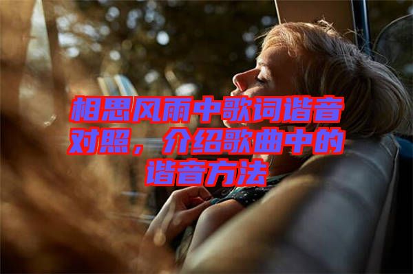 相思風(fēng)雨中歌詞諧音對照，介紹歌曲中的諧音方法