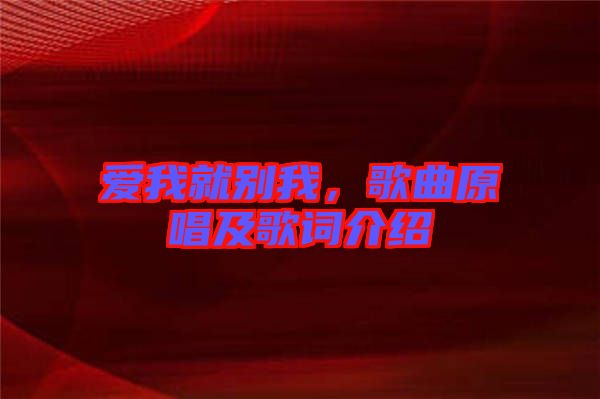 愛(ài)我就別我，歌曲原唱及歌詞介紹
