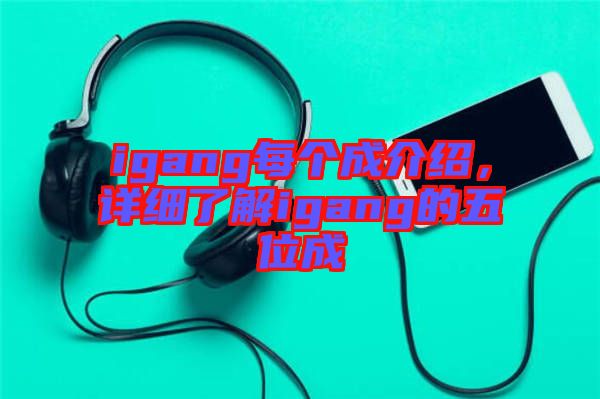 igang每個成介紹，詳細(xì)了解igang的五位成