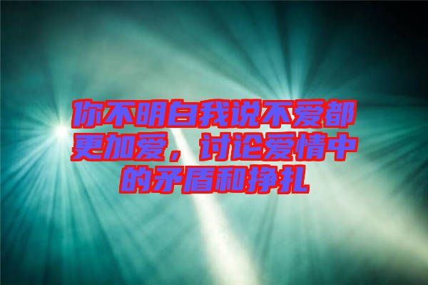 你不明白我說不愛都更加愛，討論愛情中的矛盾和掙扎