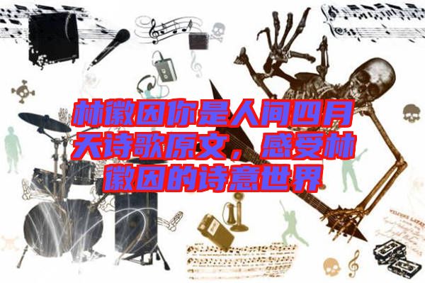 林徽因你是人間四月天詩歌原文，感受林徽因的詩意世界