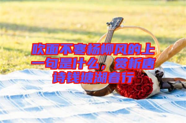 吹面不寒楊柳風(fēng)的上一句是什么，賞析唐詩(shī)錢塘湖春行
