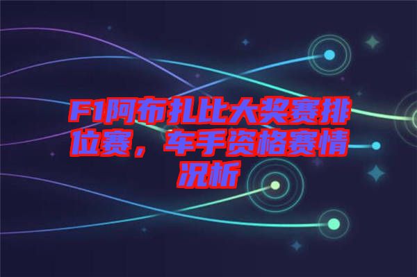 F1阿布扎比大獎賽排位賽，車手資格賽情況析
