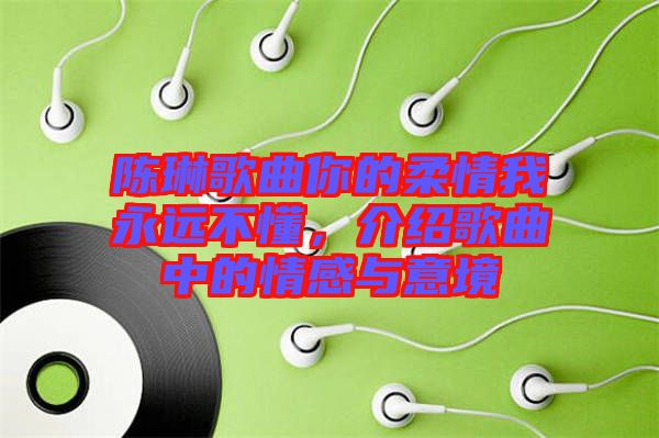 陳琳歌曲你的柔情我永遠不懂，介紹歌曲中的情感與意境
