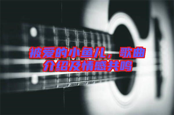被愛的小魚兒，歌曲介紹及情感共鳴