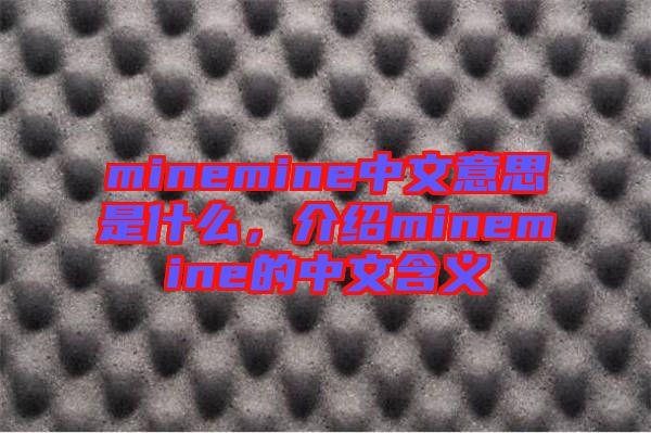 minemine中文意思是什么，介紹minemine的中文含義