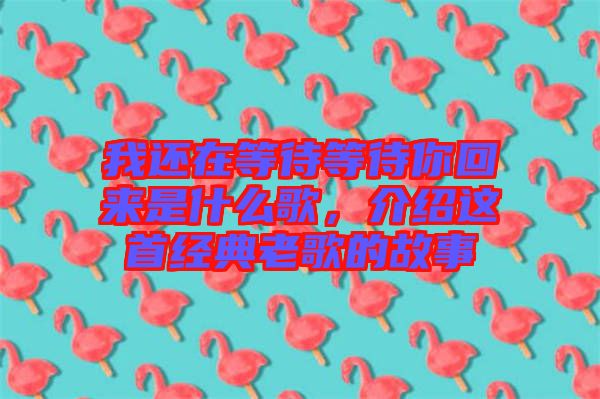 我還在等待等待你回來是什么歌，介紹這首經(jīng)典老歌的故事
