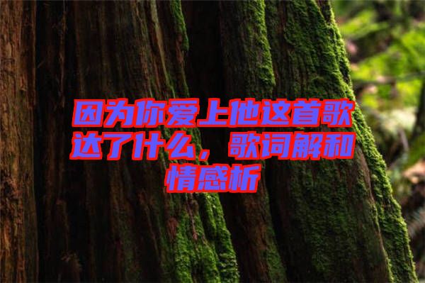 因?yàn)槟銗凵纤@首歌達(dá)了什么，歌詞解和情感析