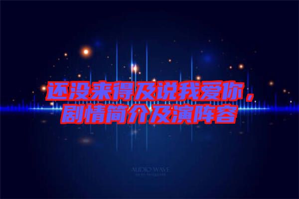 還沒(méi)來(lái)得及說(shuō)我愛(ài)你，劇情簡(jiǎn)介及演陣容