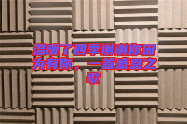 溫暖了四季謝謝你因?yàn)橛心?，一首感恩之? width=