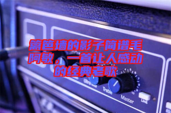 籬笆墻的影子簡譜毛阿敏，一首讓人感動的經(jīng)典老歌