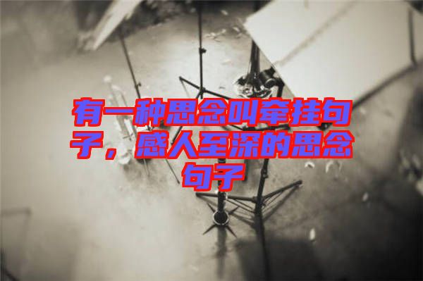 有一種思念叫牽掛句子，感人至深的思念句子