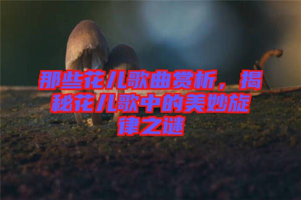 那些花兒歌曲賞析，揭秘花兒歌中的美妙旋律之謎