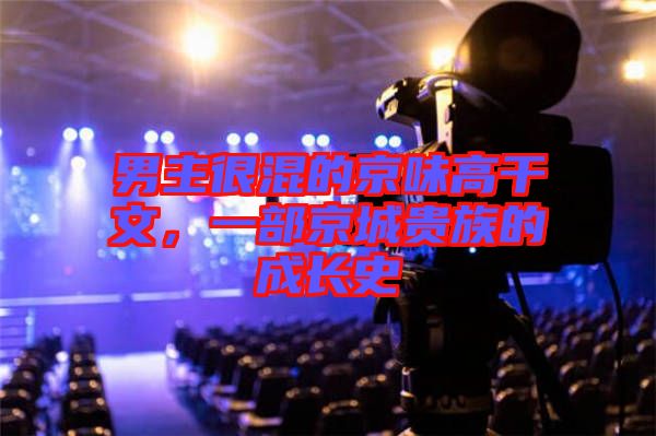 男主很混的京味高干文，一部京城貴族的成長史