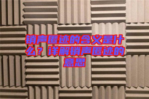 銷聲匿跡的含義是什么？詳解銷聲匿跡的意思