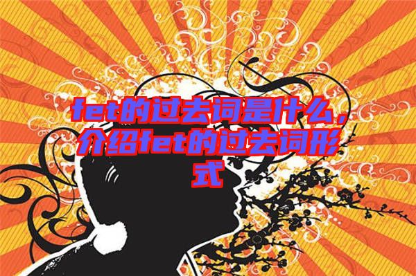 fet的過去詞是什么，介紹fet的過去詞形式