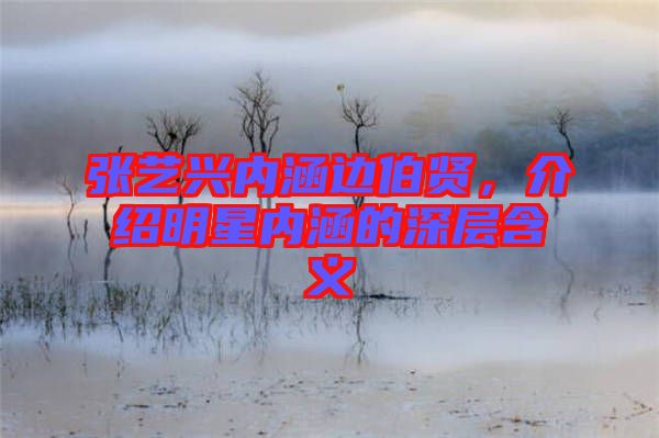 張藝興內(nèi)涵邊伯賢，介紹明星內(nèi)涵的深層含義