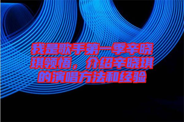 我是歌手第一季辛曉琪領悟，介紹辛曉琪的演唱方法和經(jīng)驗