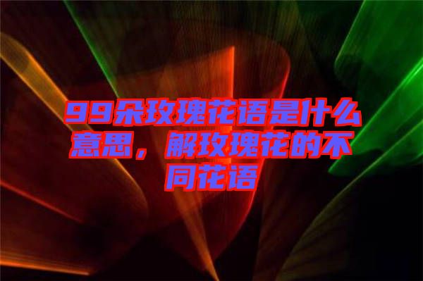 99朵玫瑰花語是什么意思，解玫瑰花的不同花語