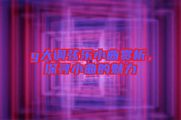 g大調(diào)弦樂小曲賞析，探尋小曲的魅力