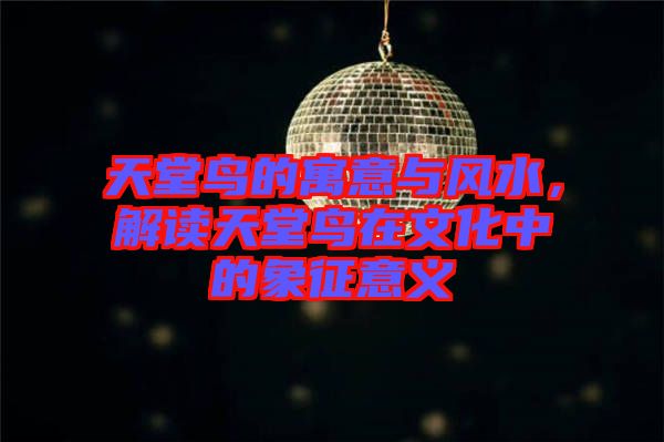 天堂鳥的寓意與風(fēng)水，解讀天堂鳥在文化中的象征意義