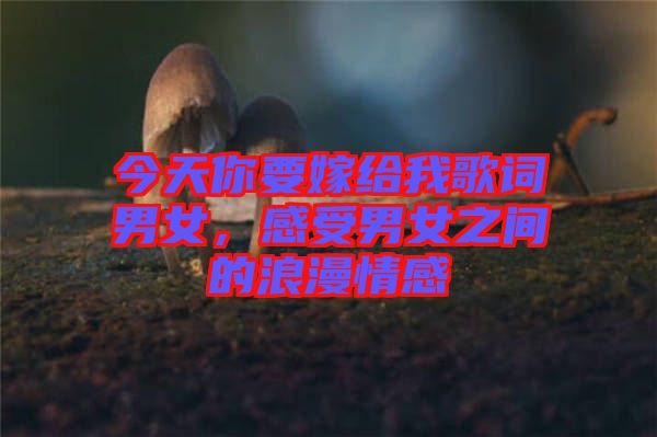 今天你要嫁給我歌詞男女，感受男女之間的浪漫情感