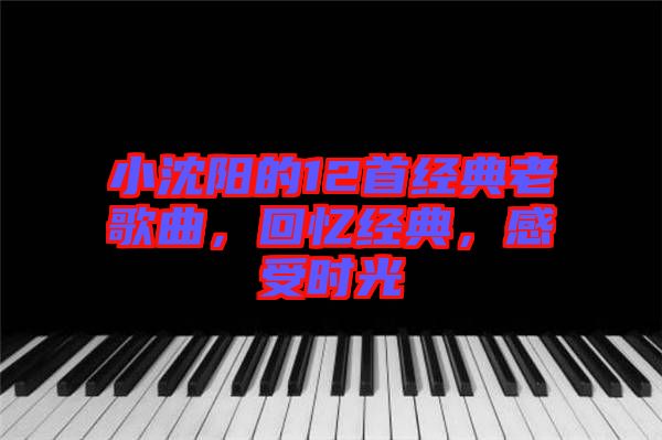 小沈陽的12首經(jīng)典老歌曲，回憶經(jīng)典，感受時光