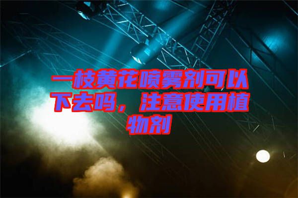 一枝黃花噴霧劑可以下去嗎，注意使用植物劑