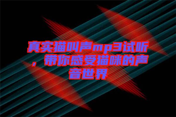 真實貓叫聲mp3試聽，帶你感受貓咪的聲音世界