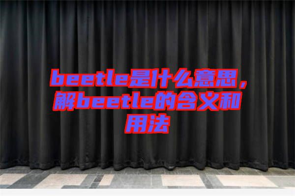 beetle是什么意思，解beetle的含義和用法